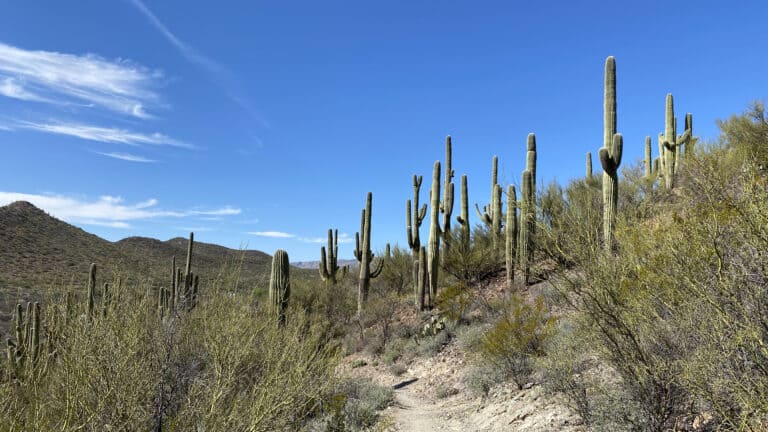 Arizona Trail Retry